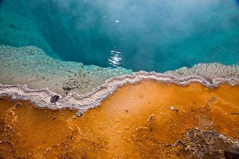 Yellowstone Tours from Jackson Hole | Wildlife & Scenic