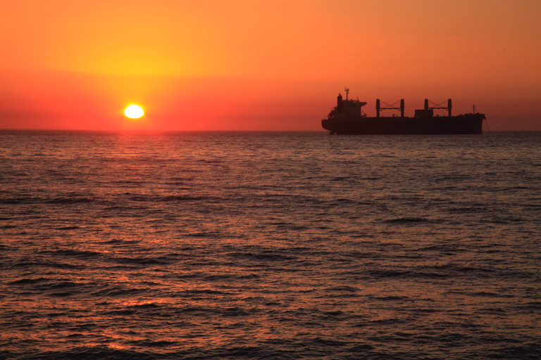 Valparaíso: Private boat ride or fishing along the coast with crew Valparaíso: Private Boat Ride or Fishing Along the Coast with Crew