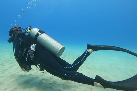 Oahu: Beginner SCUBA duik bij Electric Beach