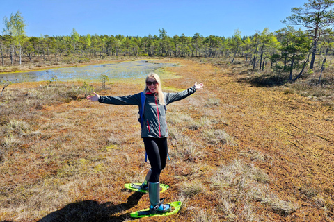 Ķemeri Bogs Adventure: Explore Wetlands In Bog Shoes