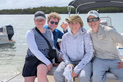 Marco Island: Dolphin, Shelling, Beach & Ten Thousand Island 4 Hour Option