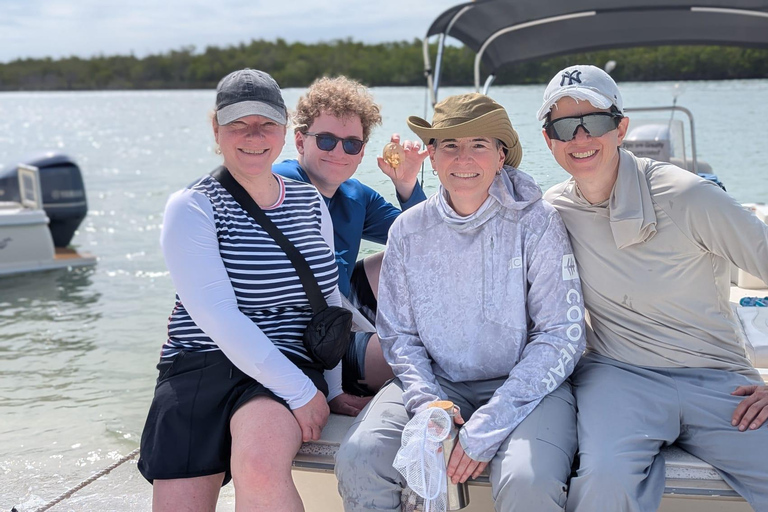 Marco Island: Dolphin, Shelling, Beach & Ten Thousand Island 4 Hour Option