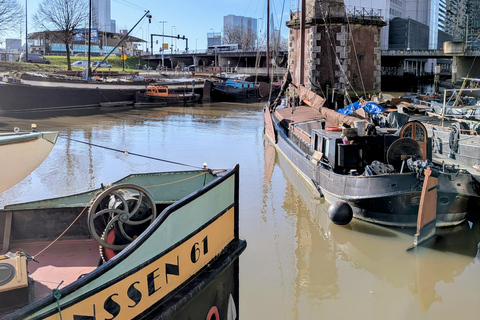 Rotterdam narrated by a French tour guide