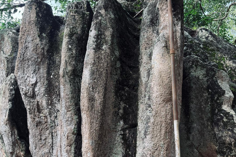 From Colombo: Gampaha District Temples & Jungle Hike Tour