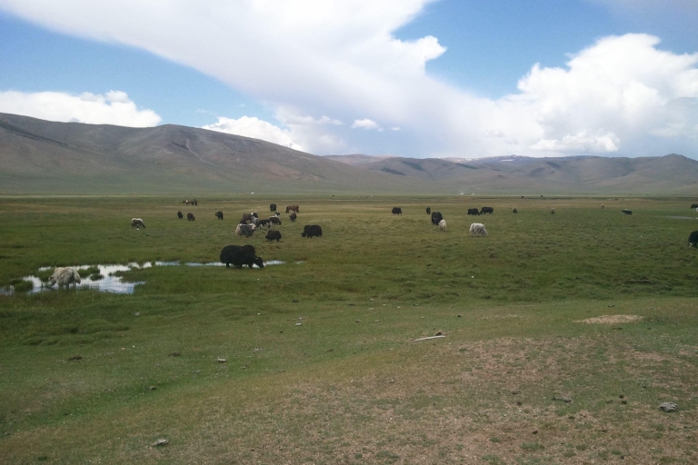 8 DAY GOBI AND CENTRAL MONGOLIA