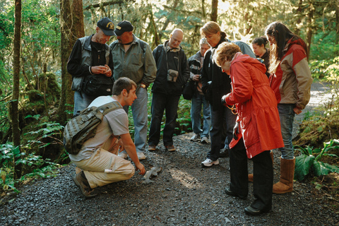 Ketchikan: Alaska Rainforest Sanctuary and Totem Park Walk