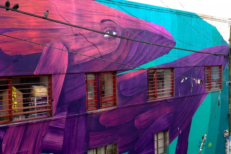 Valparaiso: straatkunsttour + lunch