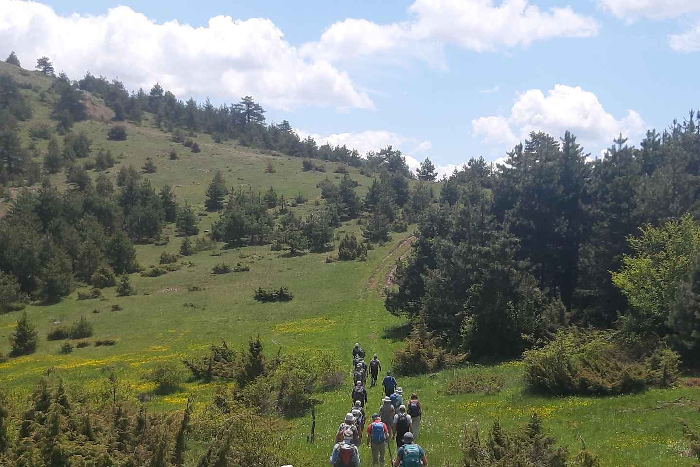 UNESCO Heritage Tour: Ancient Lin & Royal Tombs of Selca