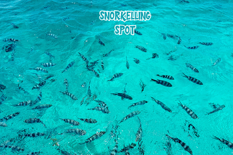 Mauritius: prywatna wycieczka motorówką po 5 wyspach z grillemMauritius: prywatna wycieczka motorówką na 5 wysp z grillem