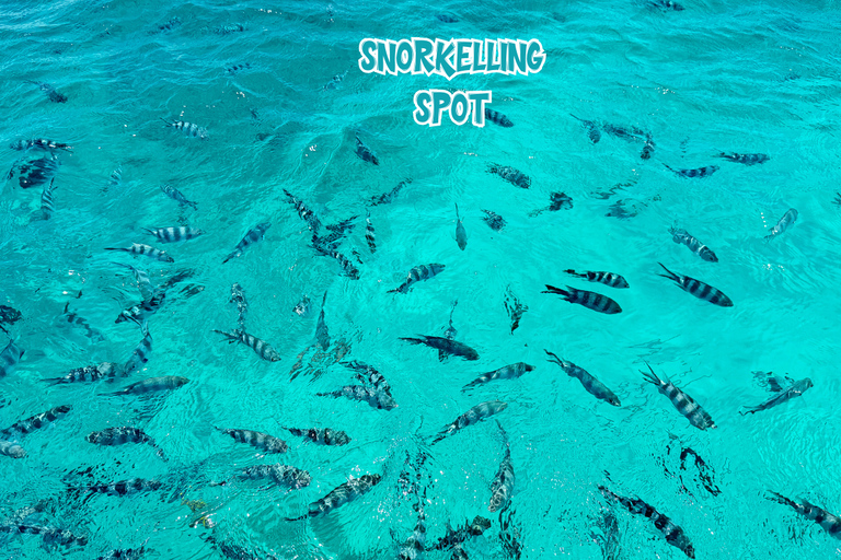 Mauritius: prywatna wycieczka motorówką po 5 wyspach z grillemMauritius: prywatna wycieczka motorówką na 5 wysp z grillem