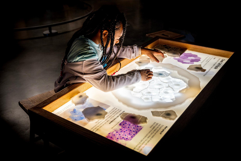 San Francisco: Exploratorium dagtid inträde