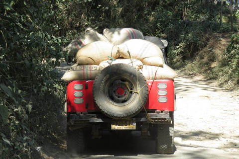 Minca: Varietals Coffee Taste & Marinka Waterfall