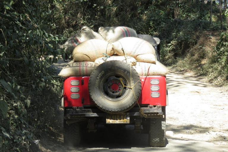 Minca: Varietals Coffee Taste & Marinka Waterfall