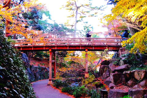 Nagoya: Exploring the Beauty of Tokugawa-en Garden