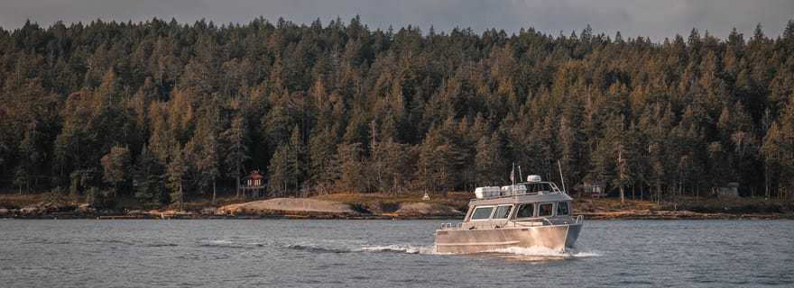 Nanaimo : Tour en bateau semi-couvert pour l'observation des baleines