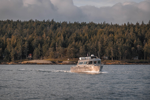 Nanaimo: Whale Watching Semi-Covered Boat Tour