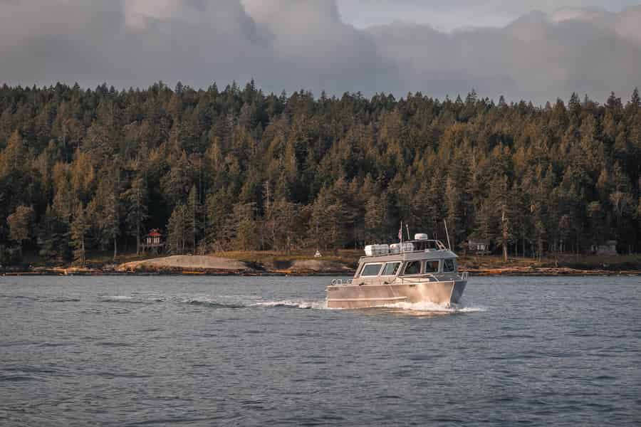 Nanaimo: Walbeobachtungstour mit halbüberdachtem Boot. Foto: GetYourGuide