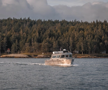 Nanaimo: Observação de baleias em um passeio de barco semicoberto