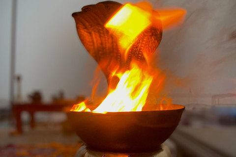 Marigold Boat trip to feel Kashi