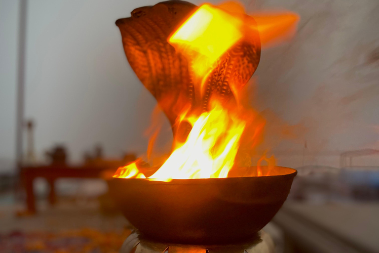 Marigold Boat trip to feel Kashi