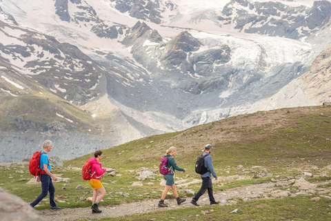 Zermatt: Gornergrat and Riffelsee Guided Hiking Tour