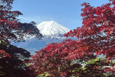 From Tokyo: Mount Fuji Full Day Customizable Private Tour LUXURY LAND CRUISER