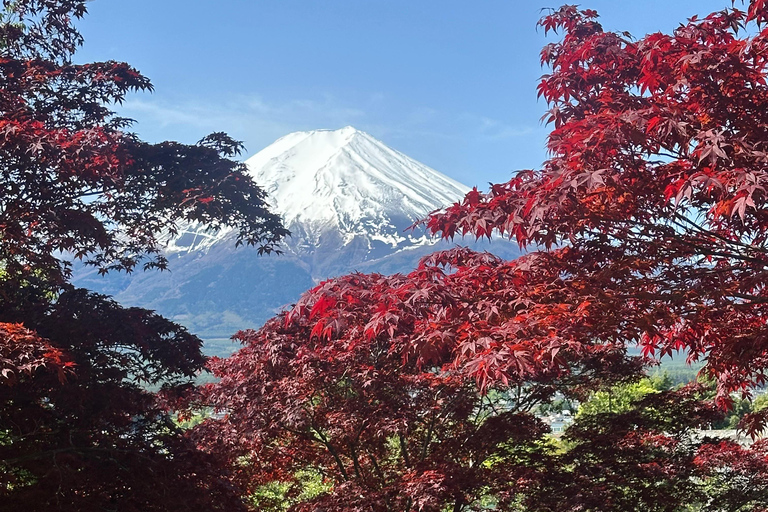 From Tokyo: Mount Fuji Full Day Customizable Private Tour LUXURY LAND CRUISER