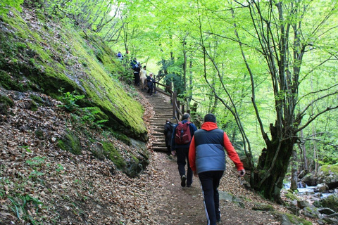 Annapurna Short Trek