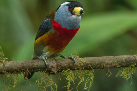 Quito: Mindo Cloud Forest 2-Day Tour with Meals & Hotel