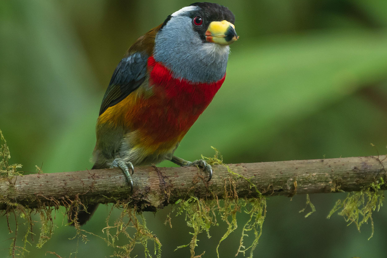 Quito: Mindo Cloud Forest 2-Day Tour with Meals & Hotel