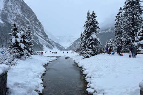 Banff: Lake Louise and Johnston Canyon Shuttle Service From Banff Train Station