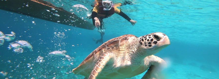 Îles Gili : Excursion privée ou partagée en bateau de plongée avec tuba