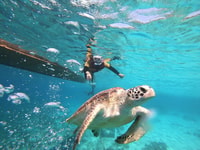 Islas Gili, viaje en barco privado o compartido - Housity