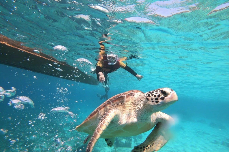 Wyspy Gili: wspólna wycieczka na nurkowanie z rurką