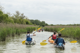 Caorle: Guided Kayak Tour