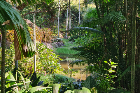 Rio de Janeiro: Sítio Roberto Burle Marx: tour guiado