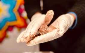 Brussels: Belgian Chocolate Truffles Workshop and Tasting