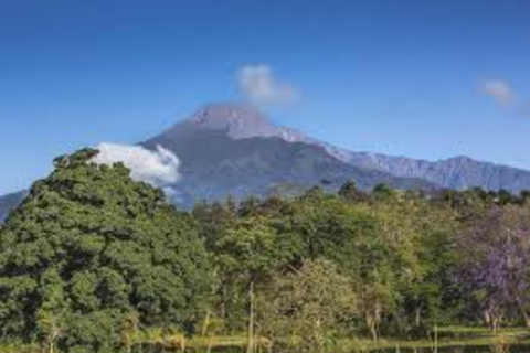 Arusha: Excursão de um dia ao Parque Nacional com Safari a Pé