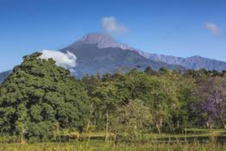 Arusha: Excursão de um dia ao Parque Nacional com Safari a Pé