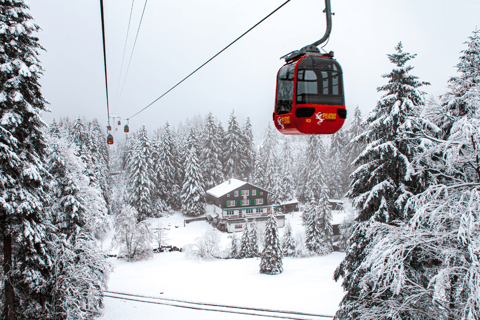 Monte Pilatus (tour privado)