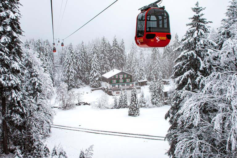 Mount Pilatus (Private tour)