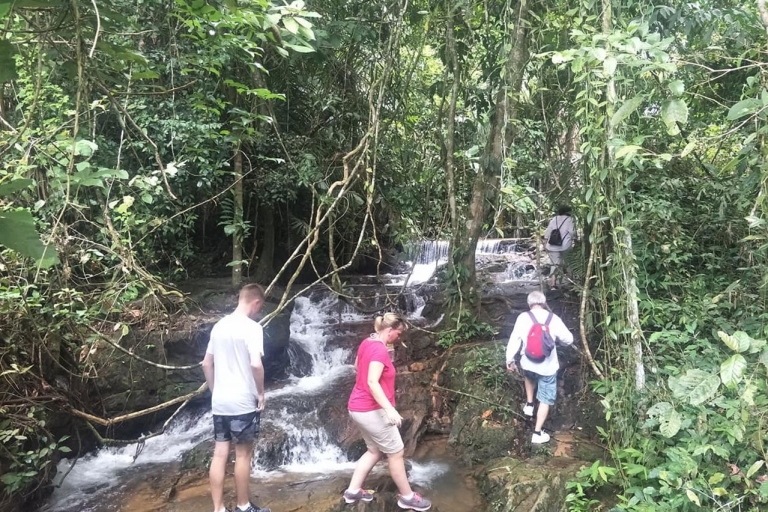 Trekking po dżungli w Phuket w Khao Phra Taew