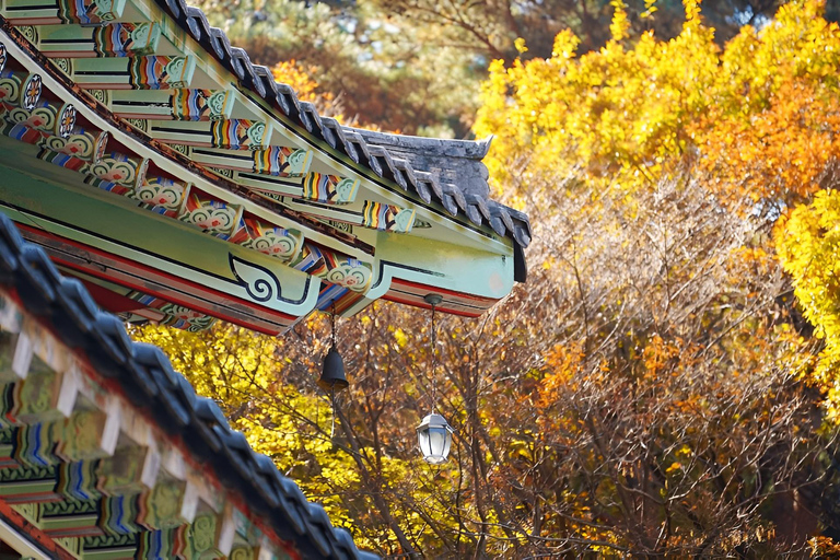 2024 Tournée d&#039;automne à Jeju avec le festival Pink Muhly