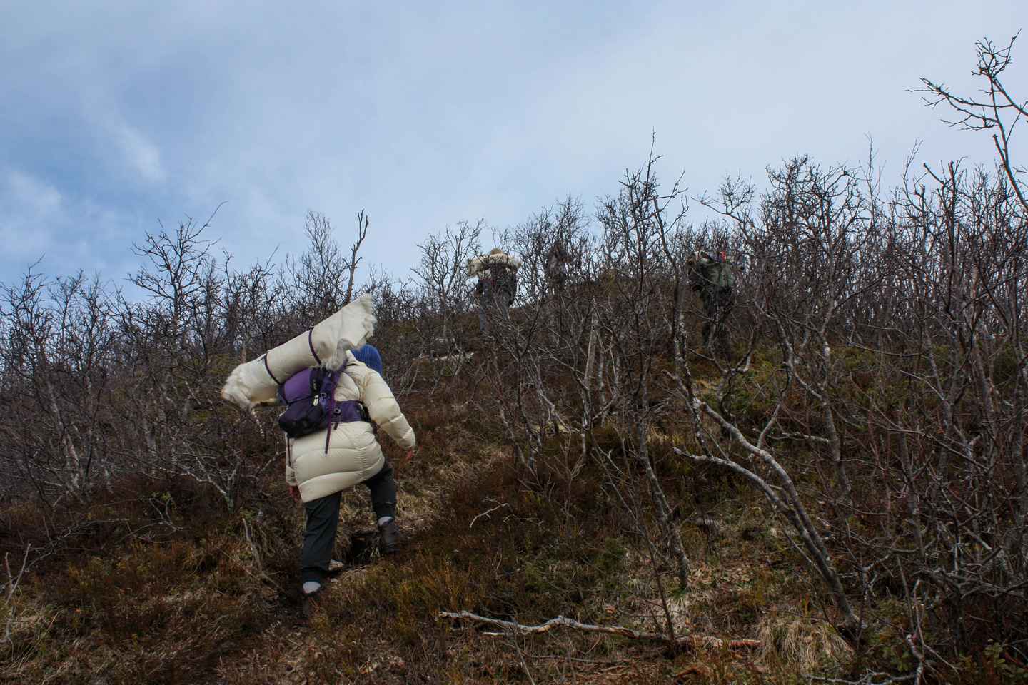 Tromsø : Pêche sur glace et randonnée en raquettes