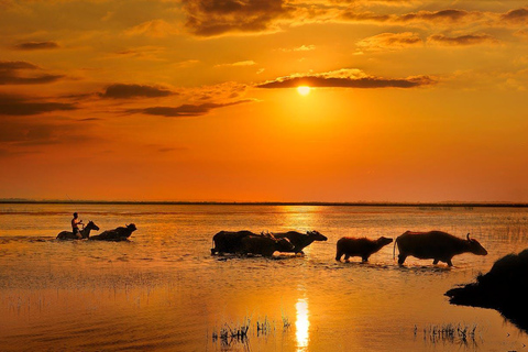 Moshi: 2-Day Lake Manyara and Ngorongoro Safari with Lodging