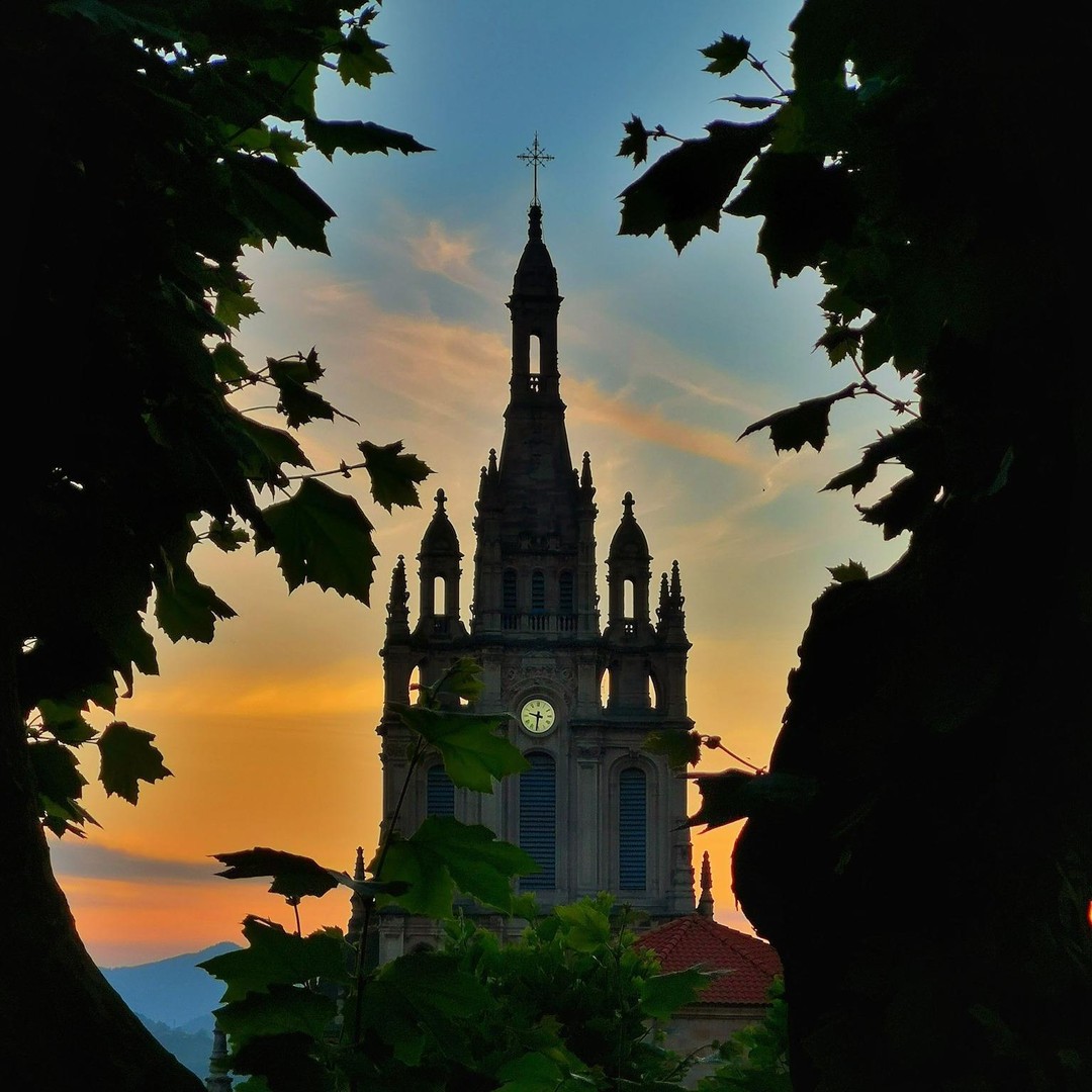 Galería de fotos para redes