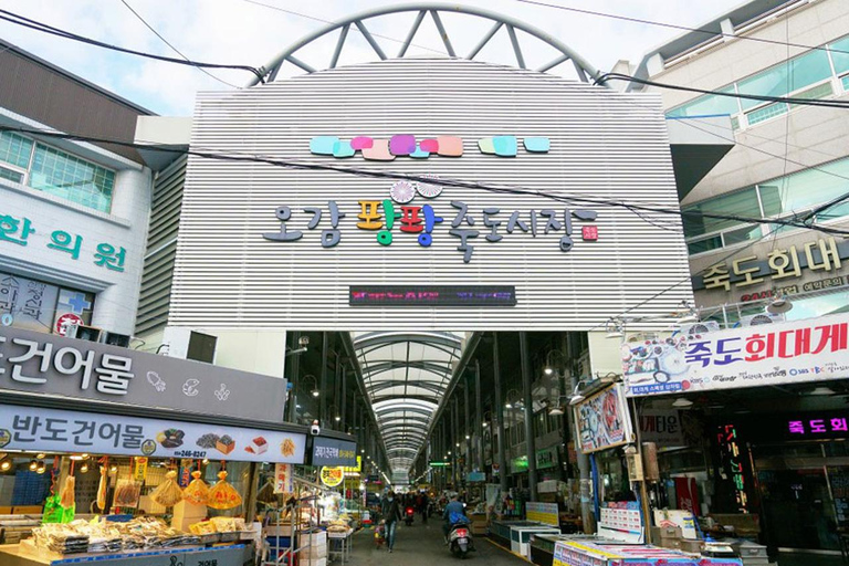 Pohang: Public Private Taxi Tour Car Charter Pohang Sedan Taxi 7 Hours (Simple English)