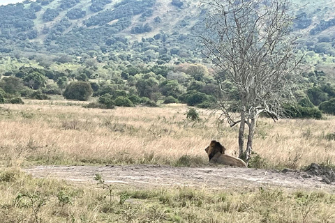 Vanuit Kigali: 1 dag Akagera safari en boottocht. Alles inclusief