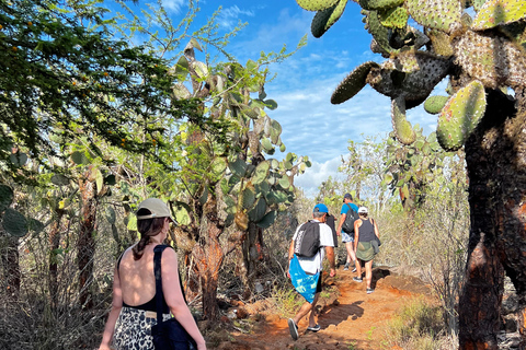 Santa Cruz: Snorkeling Sightseeing Tour at Las Grietas and Playa de los Alemanes