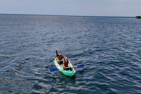 Bintan car charter + Driver Bintan Car Rent